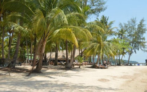 Chatki na wyspie Koh Rong 1.jpg